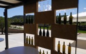 Beautifully designed Surrau winery