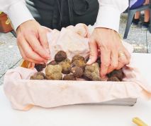 Luca the owner is trying to temp us for black truffles