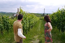 The beautiful Cerretta vineyard